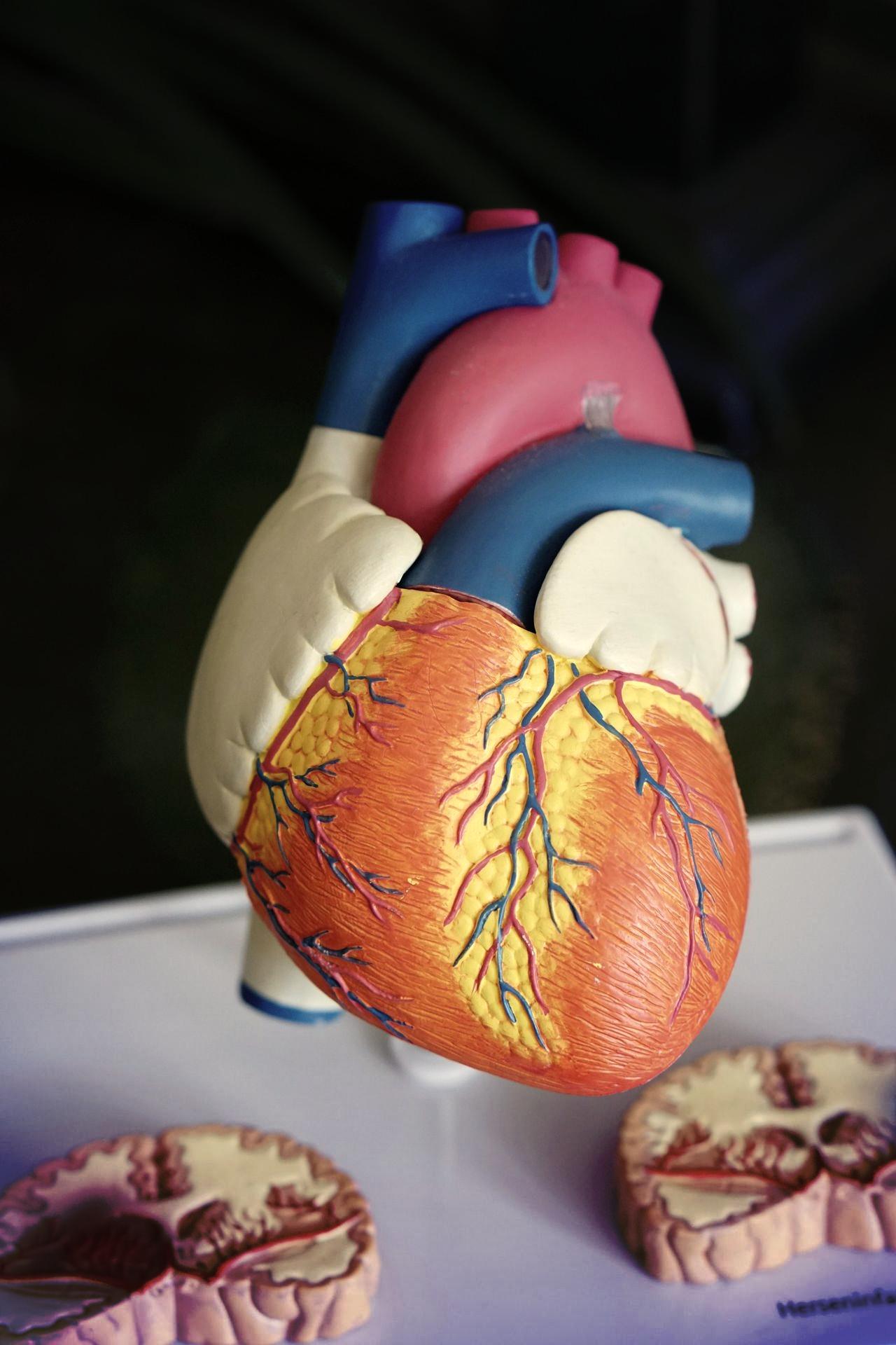 orange heart decor